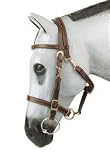 Down Under Light Halter Bridle