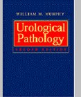 Urological Pathology