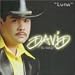 Tejano By Lily G. Rdgz