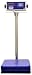 AmCells 250 lb Electronic Total Body Scale