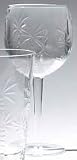  : Tropix Etched Acrylic Goblet