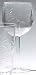 Tropix Etched Acrylic Goblet
