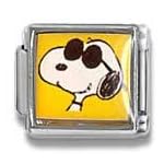 snoopy dog charm