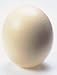 OSTRICH EGG SHELL