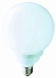 20W ES Globe Energy Saver Bulb