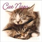 Cat Naps 2009 Mini Wall Calendar