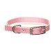 Aspen Pet 3/8 Single Ply Nylon Dog and Cat Collar