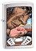 Sporting Goods : Zippo Racer X, Brushed Chrome