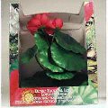 Hagen Tropical Lotus, Extra Large, Red