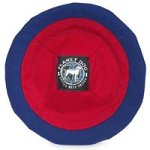 Planet Dog Fetch Me Flyer Red/Blue Large