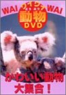 ワイワイ動物DVD かわいい動物大集合!