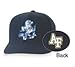 Air Force Falcons Mascot Fitted College Cap