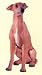Dog Figurine - Italian Greyhound