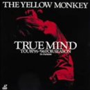 TRUE MIND TOUR ’95～’96 FOR SEASON:in motion