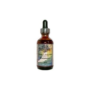 Rheumatism - Helps to alleviate the pains of rheumatism, arthritis, bursitis, lumbago,... by Health Herbs