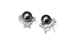 21SV1TZHAML. SL160  18K white gold Veronica Black Tahitian cultured pearl and diamond earring