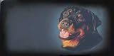 AIRBRUSHED LICENSE PLATES - ROTTWEILER - #1285