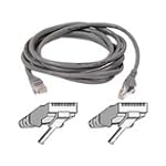 Belkin A3L791-100-S 100-Foot RJ45 CAT5E Patch Cable, Snagless Molded