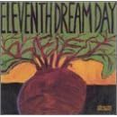 Beet by Eleventh Dream Day