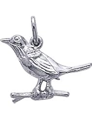 Rembrandt Charms Robin Charm