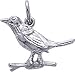 Jewelry : Robin Charm by Rembrandt Charms