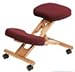 KNEELING Ergonomic Posture Kneeling Chair (with Wo