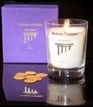 PHOENICIA - cedar scented candle