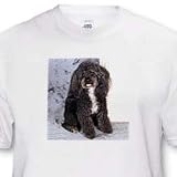 Black and white Toy Poodle - Toddler T-Shirt (2T)
