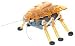 HexBug Echo