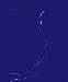 Book Yves Klein