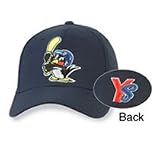 Tokyo Yakuit Swallows Japan Baseball League Cap