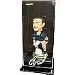 Philadelphia Eagles Bobblehead Display Case