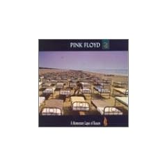 Momentary Lapse of Reason