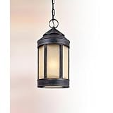 Troy Lighting Anderson's Forge Medium Hanging Lantern