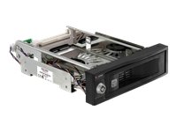 DELOCK Wechselrahmen SATA 1x Backplane m.Luefter 3,5 zoll 8,89 cm Preisvergleich