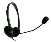 Computer Headphones / Headset With Microphone - Ideal for online chatting / Skype / MSN / etc