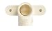 Charlotte CPVC/Cts Drop Ear Elbow (CTS 02300D 0600)
