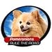   - Pomeranian Pet Tatz2008