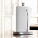 Kitchen & Housewares : Stainless Steel, Paper Towel Holder