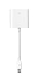 Apple Apple Mini DisplayPort-DVIアダプタ MB570Z/A