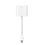 Apple Apple Mini DisplayPort-DVI�A�_�v�^ MB570Z/A