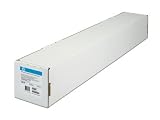 BRAND-NEW HEWLETT PACKARD HWP-Q8920A HP EVERYDAY PIGMENT INK SATIN 24X100 HIGH-QUALITY