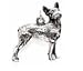 boston terrier - Boston Terrier Dog - Dog Lover 6 Charms Keychain by Little Gifts