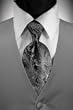 Silver Solid Satin Vest with Coordinating Tapestry Tie
