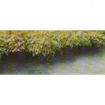 BLACK PREMIUM GROUNDCOVER 2M X 100M ROLL