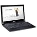 ASUS N53SV-DH72 15.6-Inch Full HD Versatile Entertainment Laptop (Silver Aluminum)