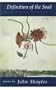 Definition of the Soul (Carnegie Mellon Poetry)