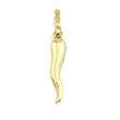 Italian Horn Charm 14k Gold 15mm