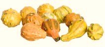 Dollhouse Miniature Artisan Handmade Decorative Squash