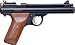 Daisy Flat Nose 22 Pellet 500ct Pellet gun not included